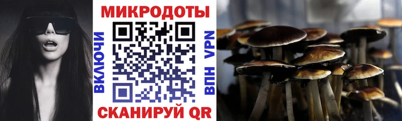 Галлюциногенные грибы мицелий  Можга 