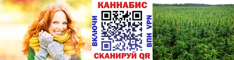 Каннабис VHQ  Можга 
